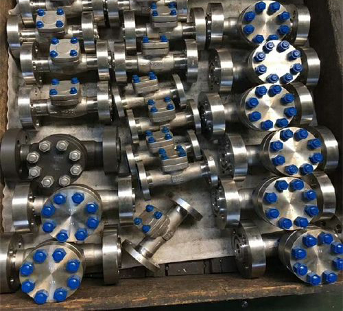 鈦法蘭旋啟式止回閥